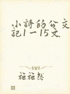 小诗的公交车日记1一15文