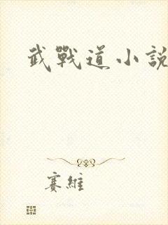 武战道小说