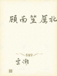 顾南笙厉北城