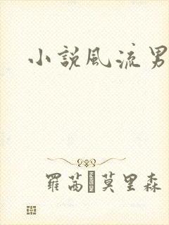 小说风流男护理