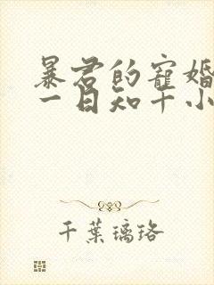 暴君的宠婚日常一日知千小说免费