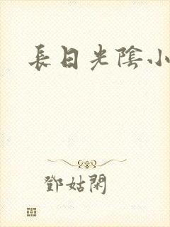 长日光阴小说