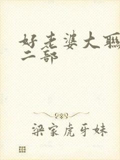 好老婆大联盟第二部