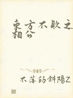 东方不败之狐狸相公