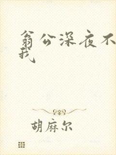 翁公深夜不停要我