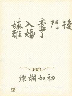 嫁入豪门后我又离婚了