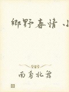 乡野春情 小说