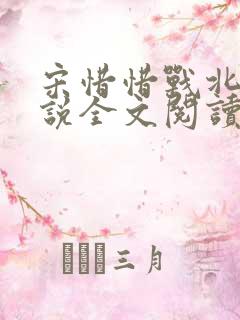 宋惜惜战北望小说全文阅读