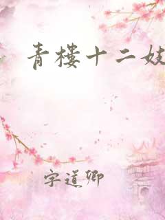 青楼十二妓