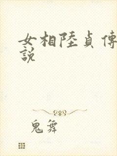 女相陆贞传奇小说