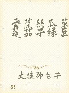 香蕉丝瓜草莓榴莲茄子绿巨人免费