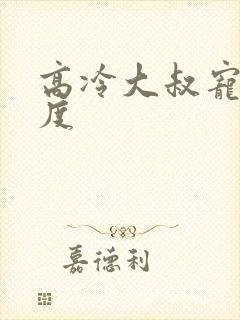 高冷大叔宠妻无度