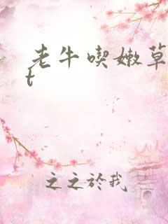 老牛吃嫩草txt