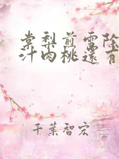 棠梨煎雪除了蜜汁肉桃还有什么肉