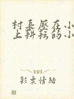 村长压在小娥身上耕耘的小说