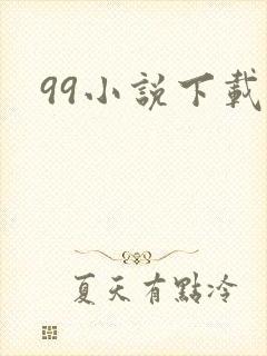 99小说下载网