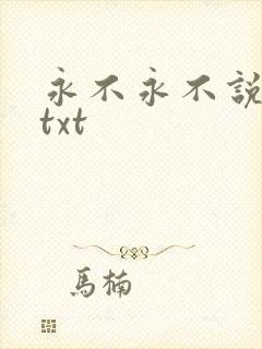 永不永不说再见txt