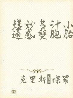 爆炒多汁小美人通感双胞胎