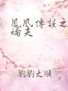 凤凰传说之独宠娇夫