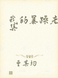 我的暴躁老妈全集