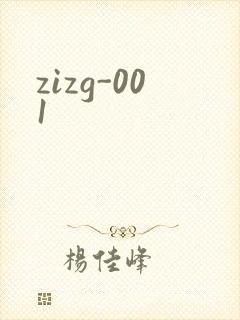 zizg-001