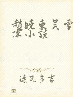 赵晓东吴雪晴郑伟小说