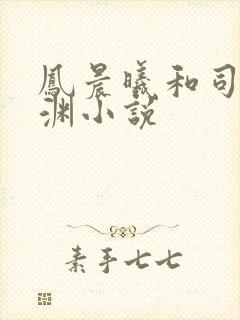 凤晨曦和司鸿颜渊小说