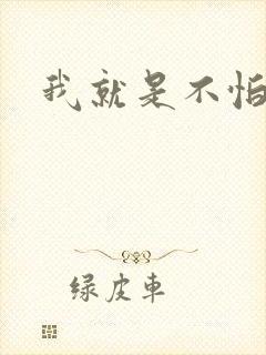 我就是不怕小说