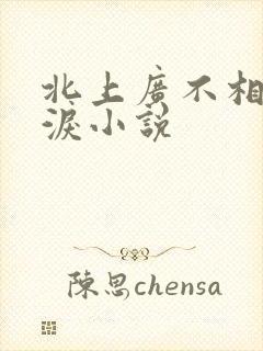 北上广不相信眼泪小说