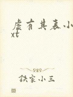 虚有其表小说txt