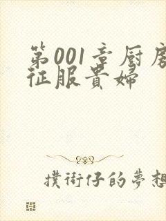 第001章厨房征服贵妇