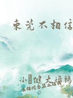 东莞不相信眼泪