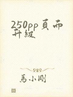 250pp页面升级