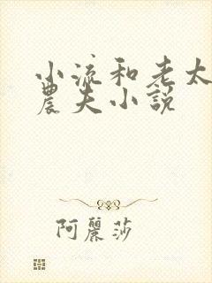 小流和老太69农夫小说