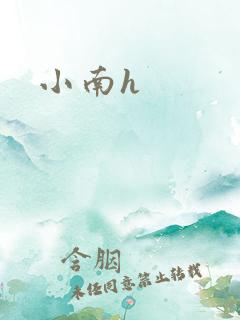 小南h