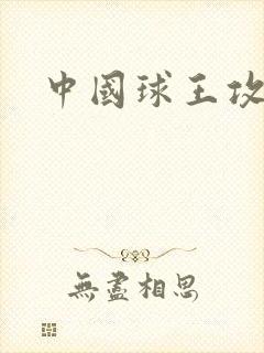 中国球王攻略