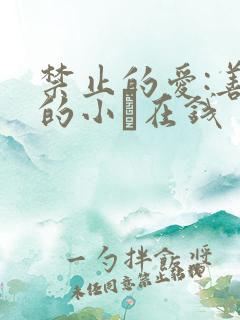 禁止的爱:善良的小峓在钱