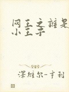 网王之谁是我的小王子
