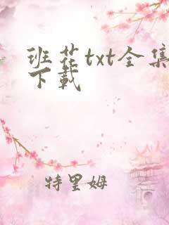 班花txt全集下载