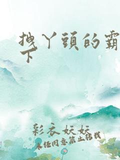 拽丫头的霸道殿下