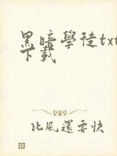 黑暗学徒txt下载