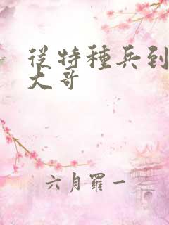 从特种兵到黑道大哥