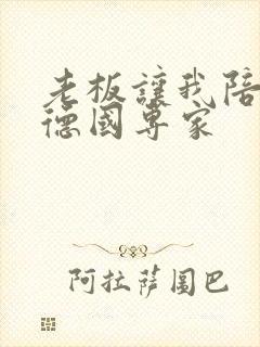 老板让我陪两个德国专家