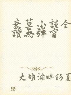 衰草小说全文阅读无弹窗