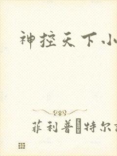神控天下小说
