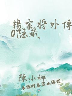 杨家将外传2.0隐藏