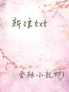 新浪txt