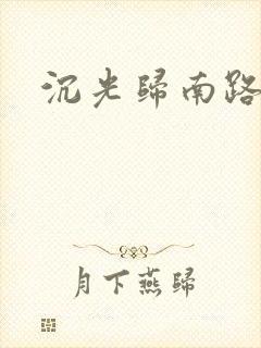 沉光归南路