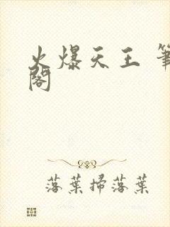 火爆天王 笔趣阁