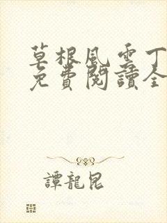 草根风云丁长生免费阅读全本